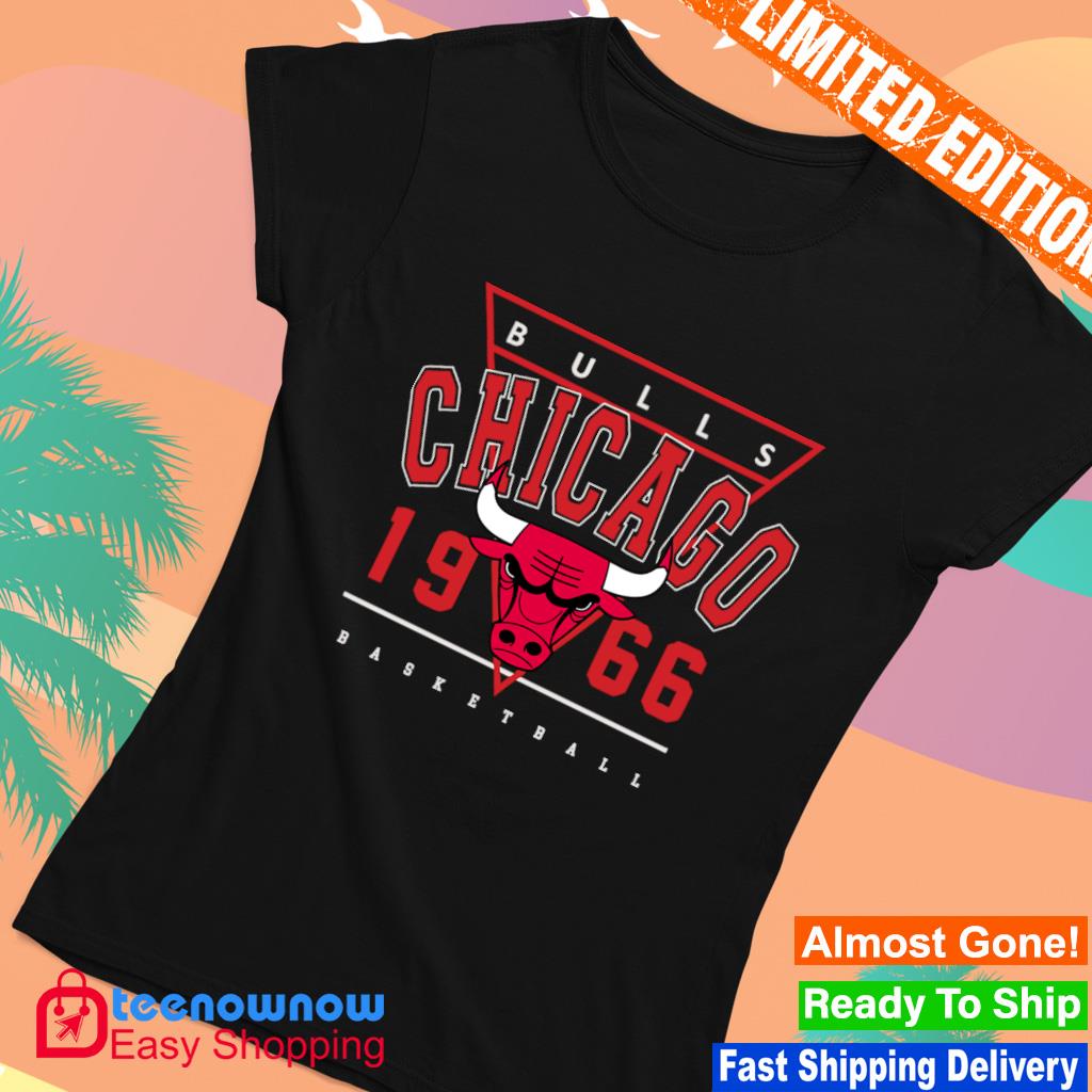 Chicago Bulls 1966 Vintage 90s T-Shirt t-shirt